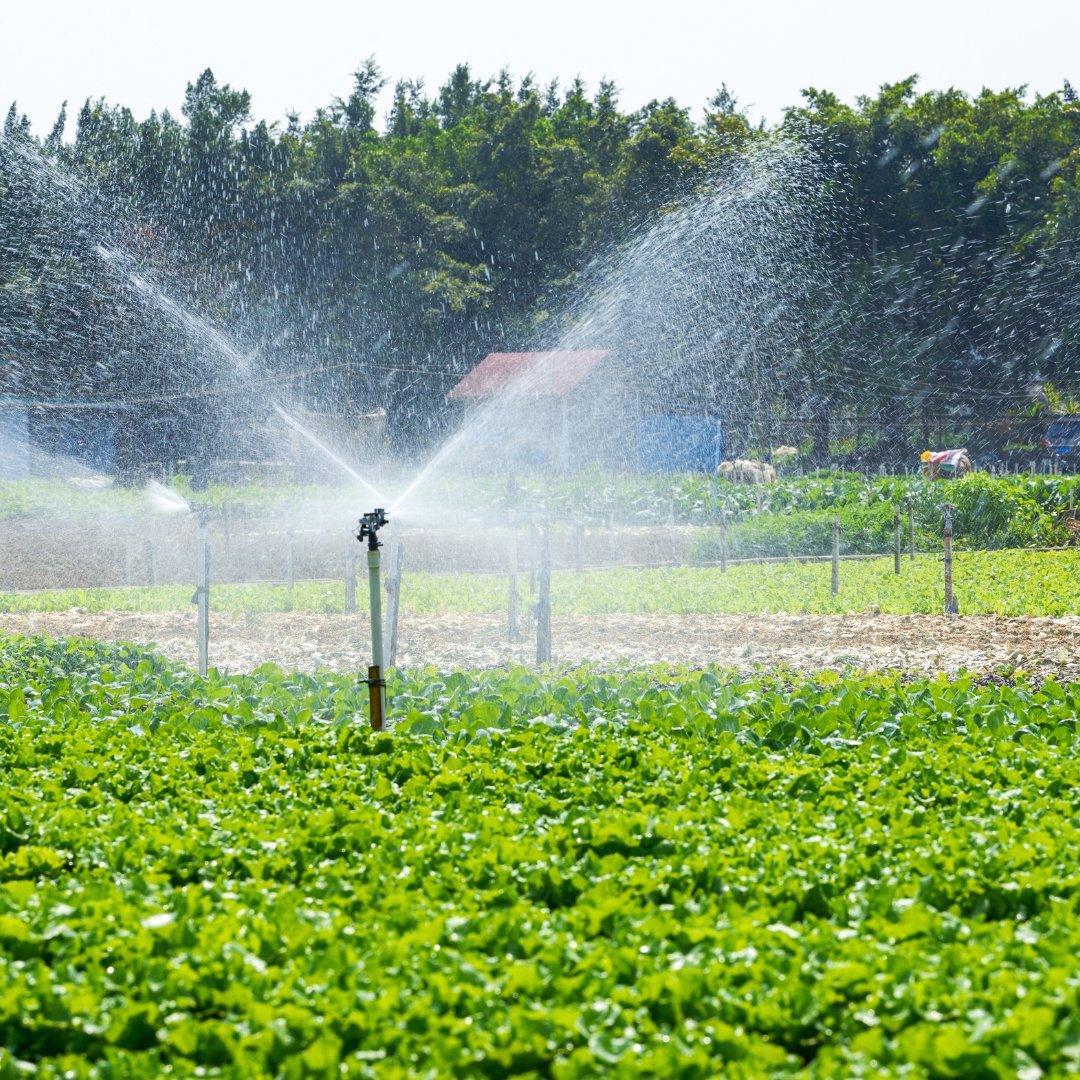 Irrigation