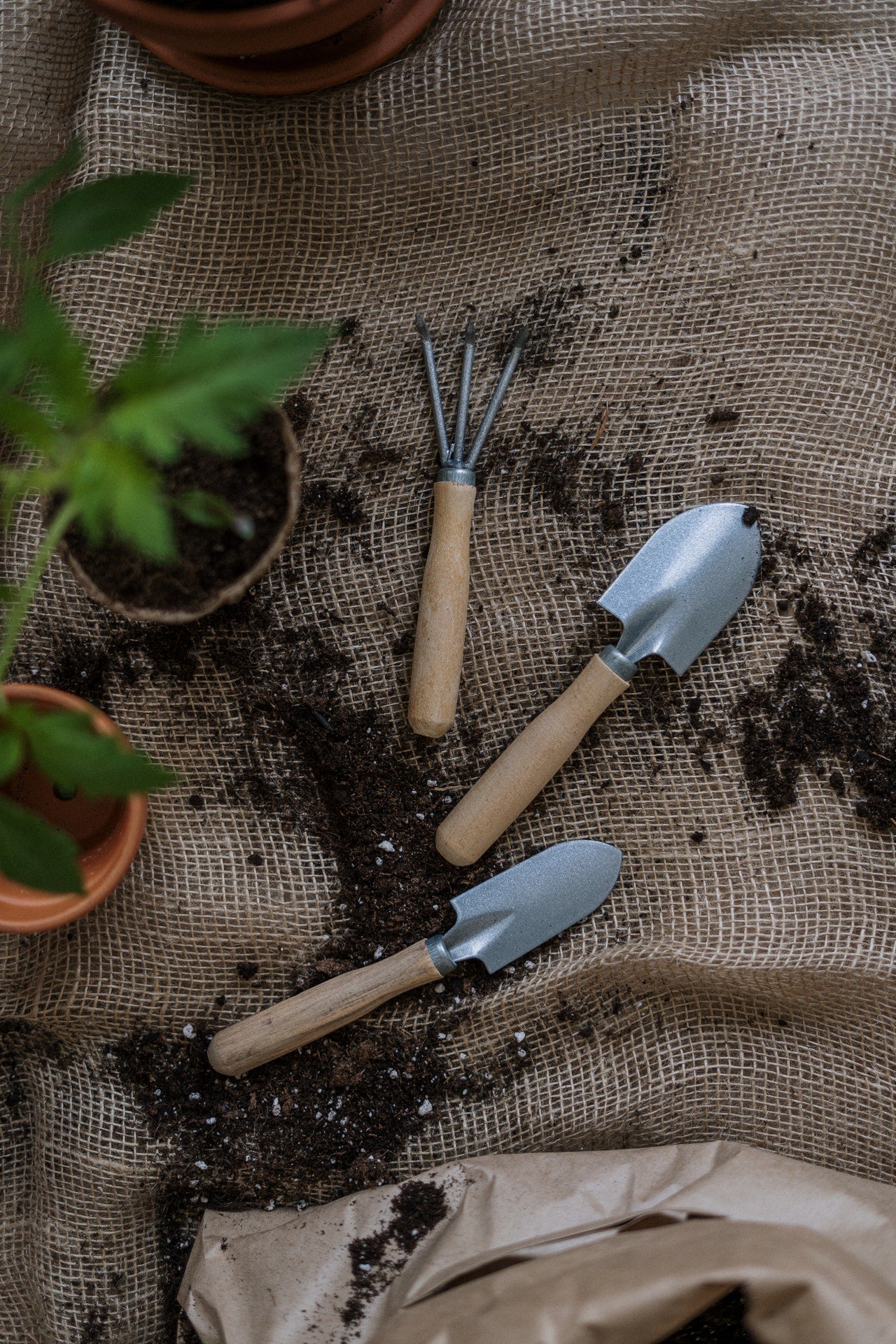 Tools & Garden Necessities