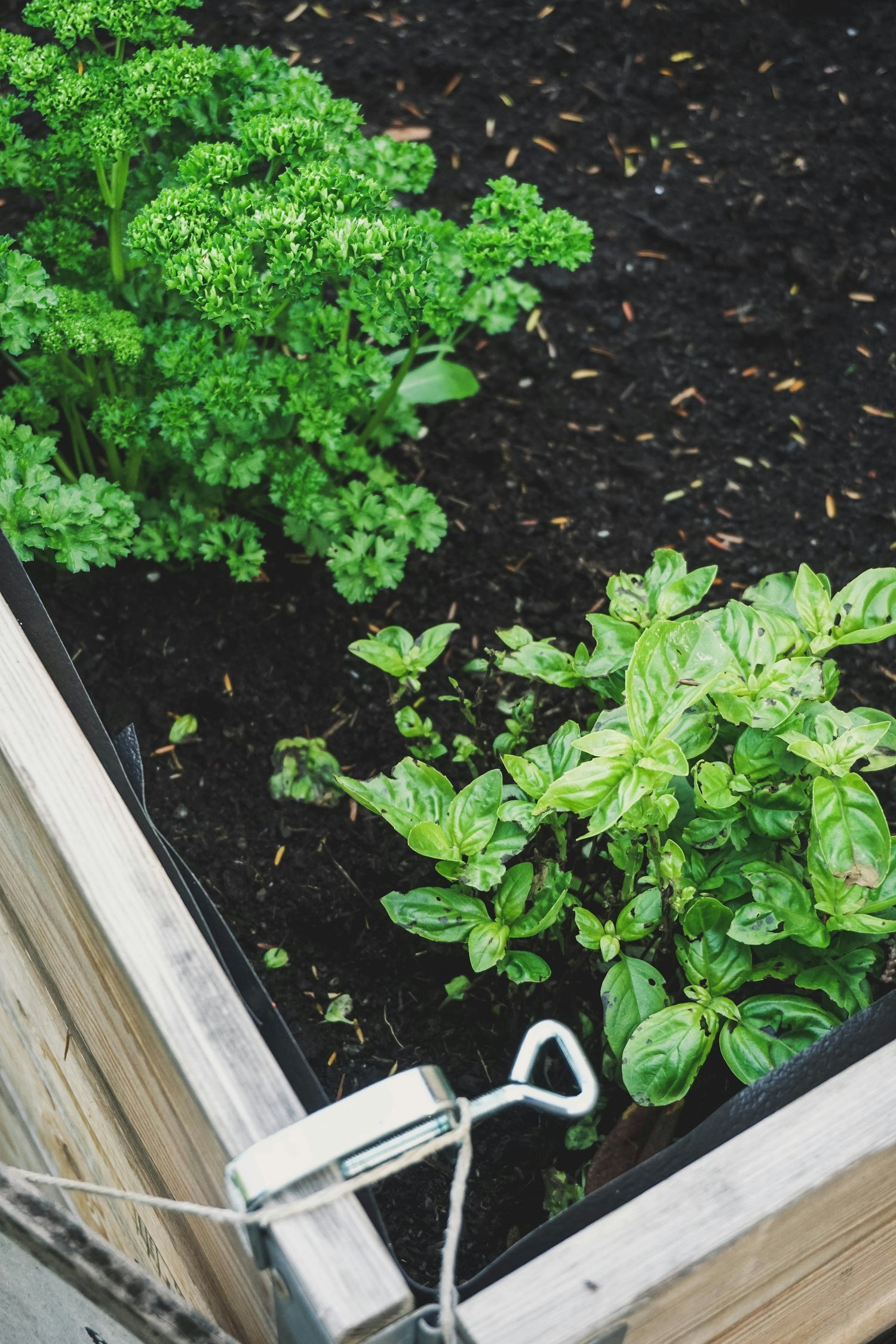 Garden Beds, Pots & Trellises