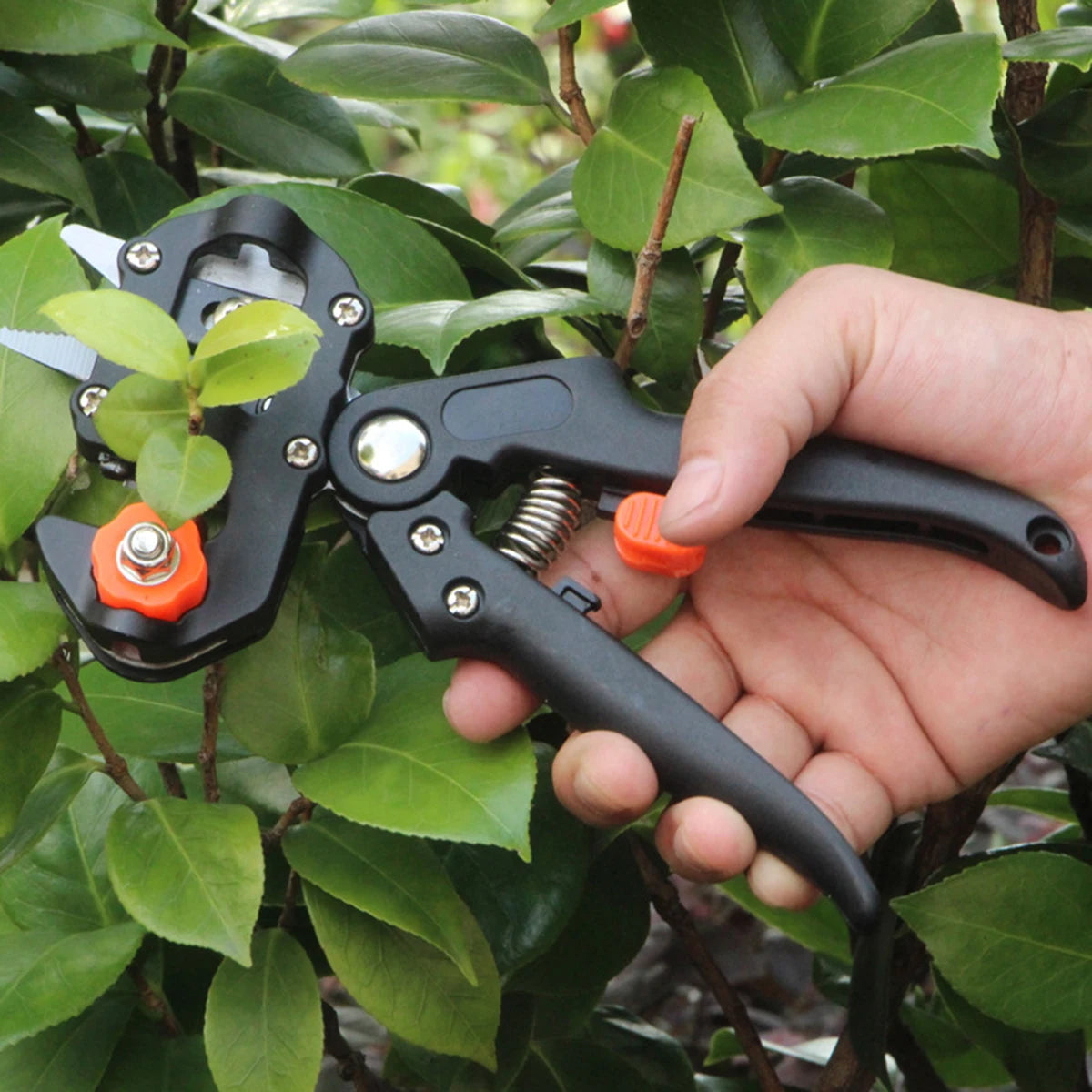 Grafting Pruner Garden Tool