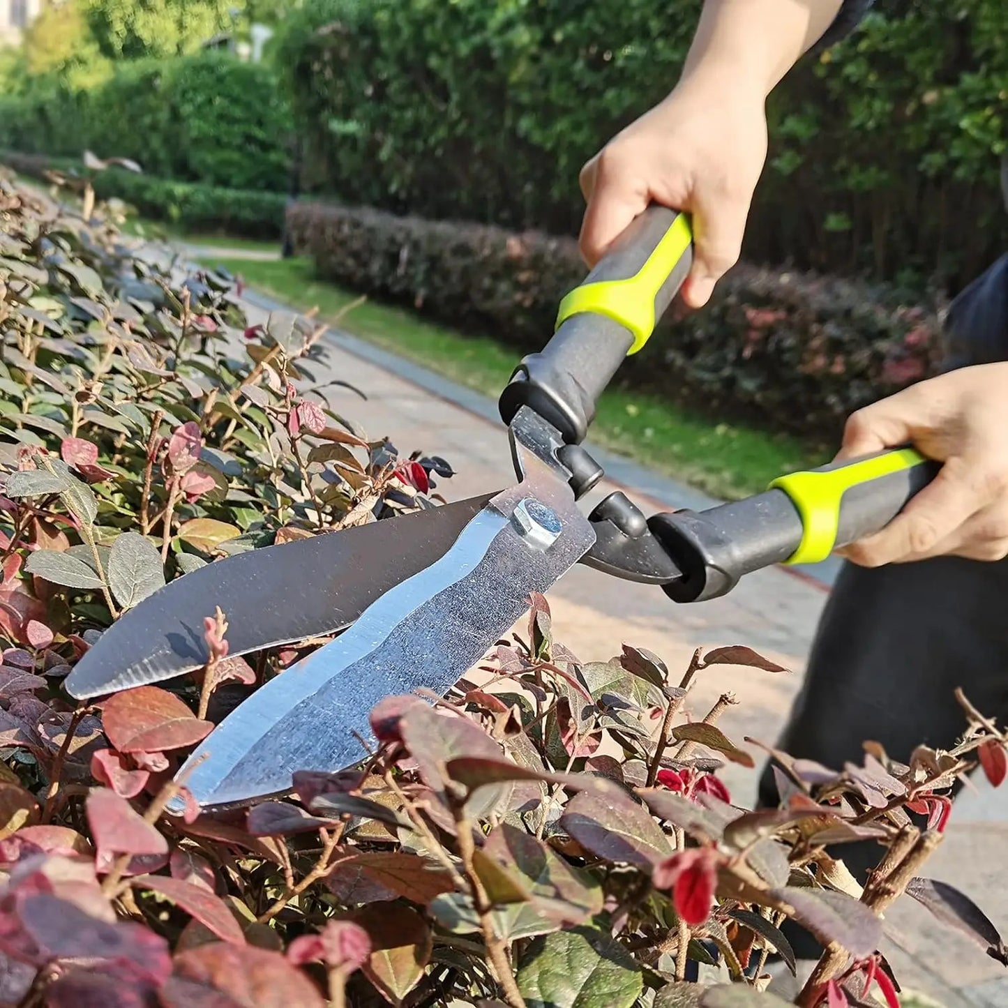 Loppers Hedge Clippers & Shears