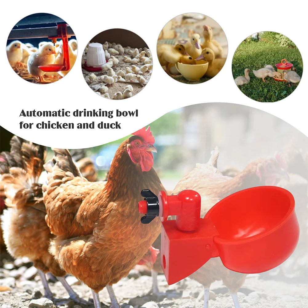 6-48pcs Chicken Duck Automatic Drinker