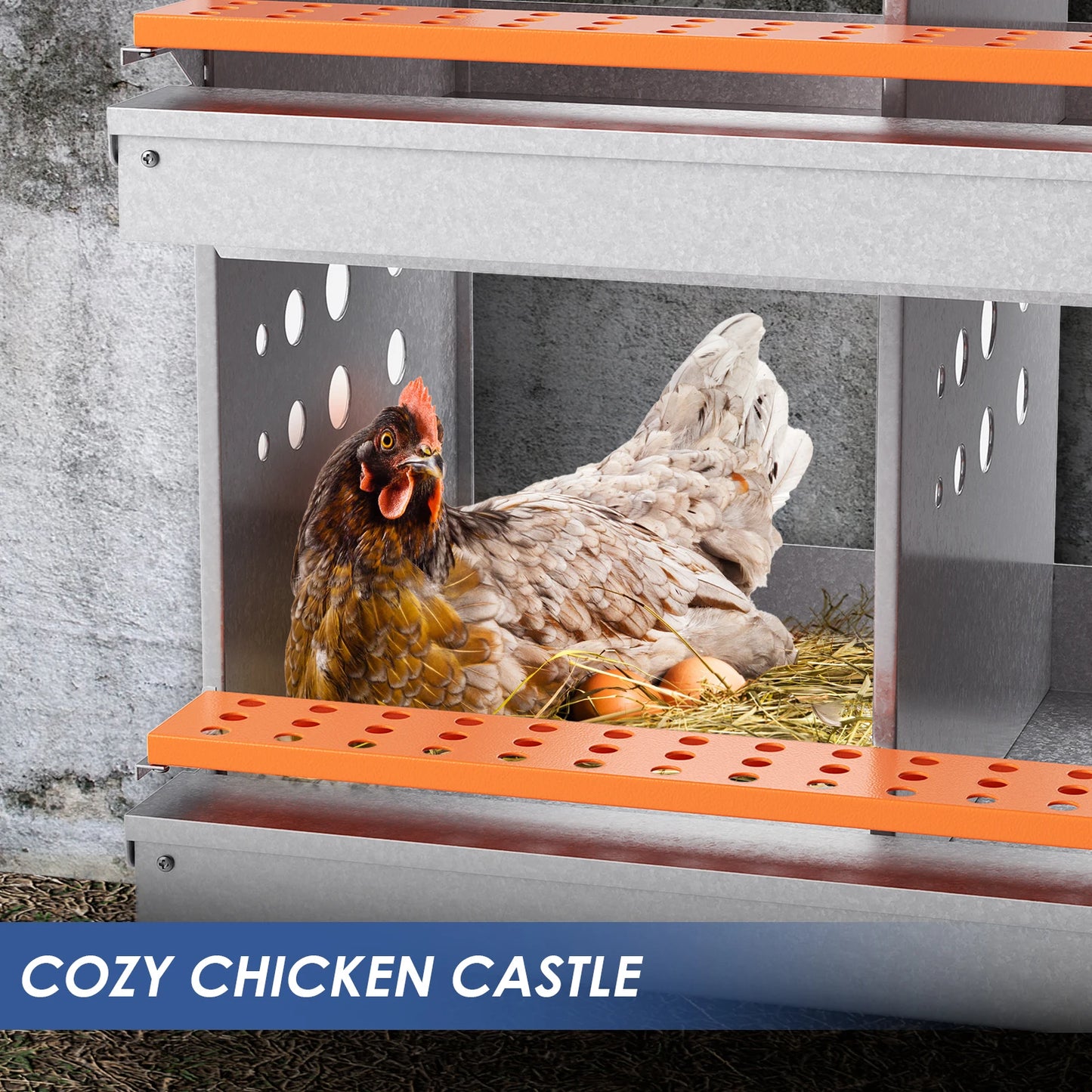 4 Compartment Poultry Nest Box