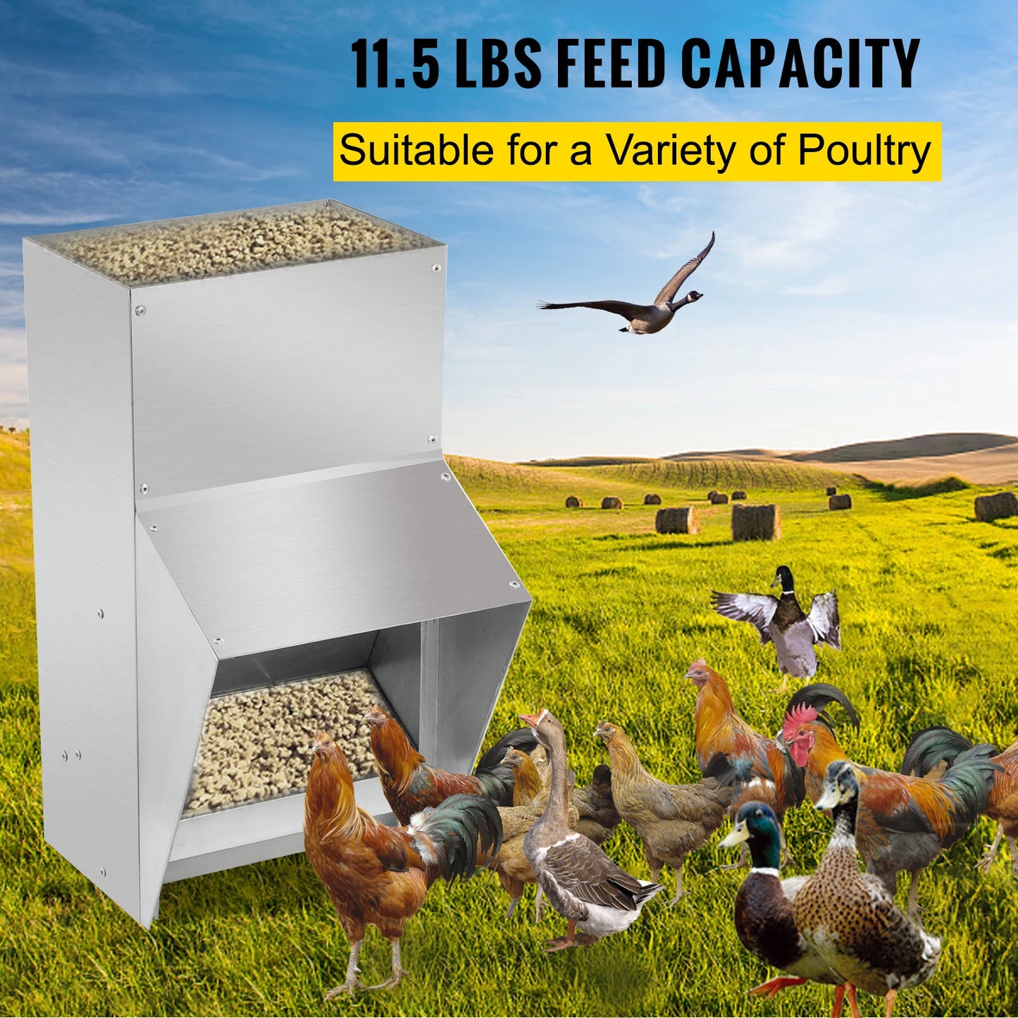 Sturdy Galvanized Steel Poultry Feeder 11.5/25/30/50lbs