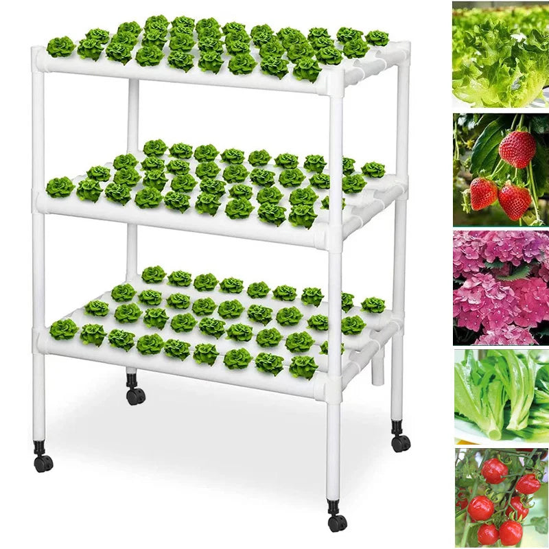 Hydroponic Plants 3-Layer Pipeline Type Automated Cultivation Vertical Equipment