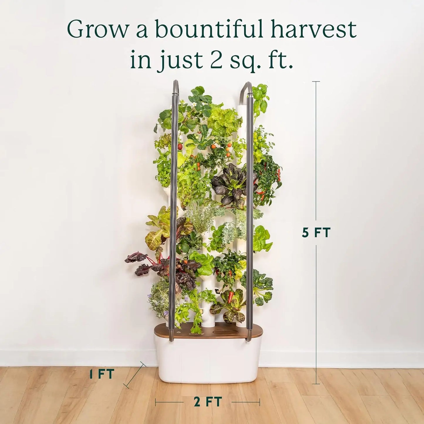 Hydro Growing System & Vertical Garden