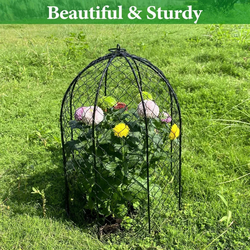 Outdoor Chicken Shredded Plant Cage