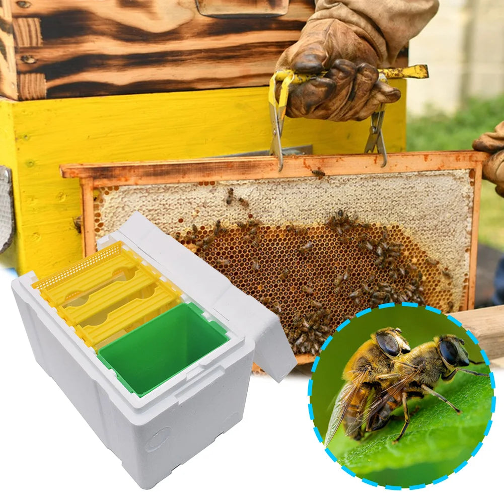 Versatile Queen Bee Breeding Box