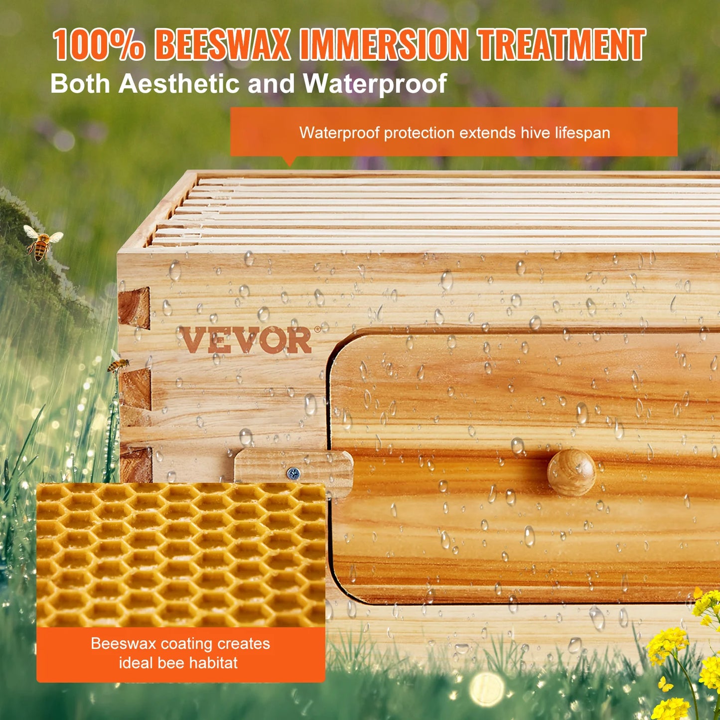 Bee Hive Medium Box Starter Kit