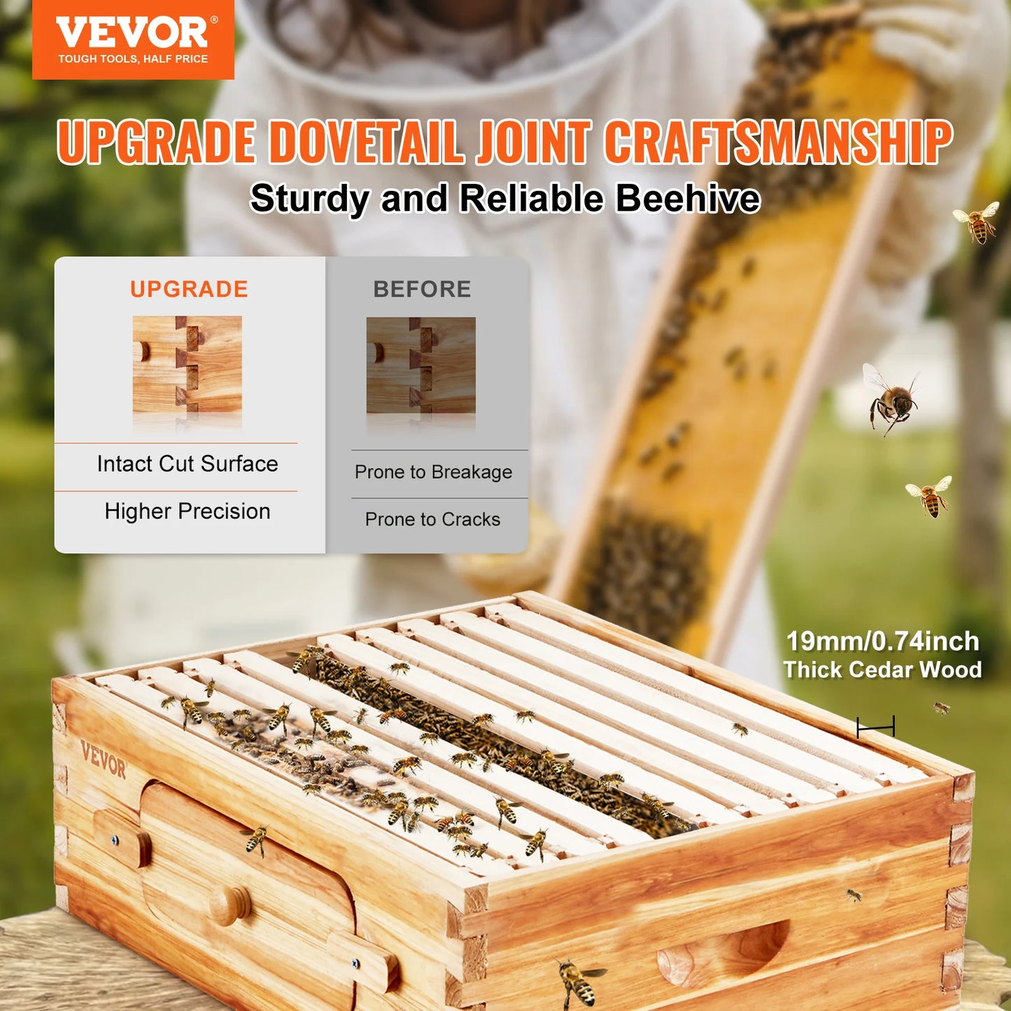 Bee Hive Medium Box Starter Kit