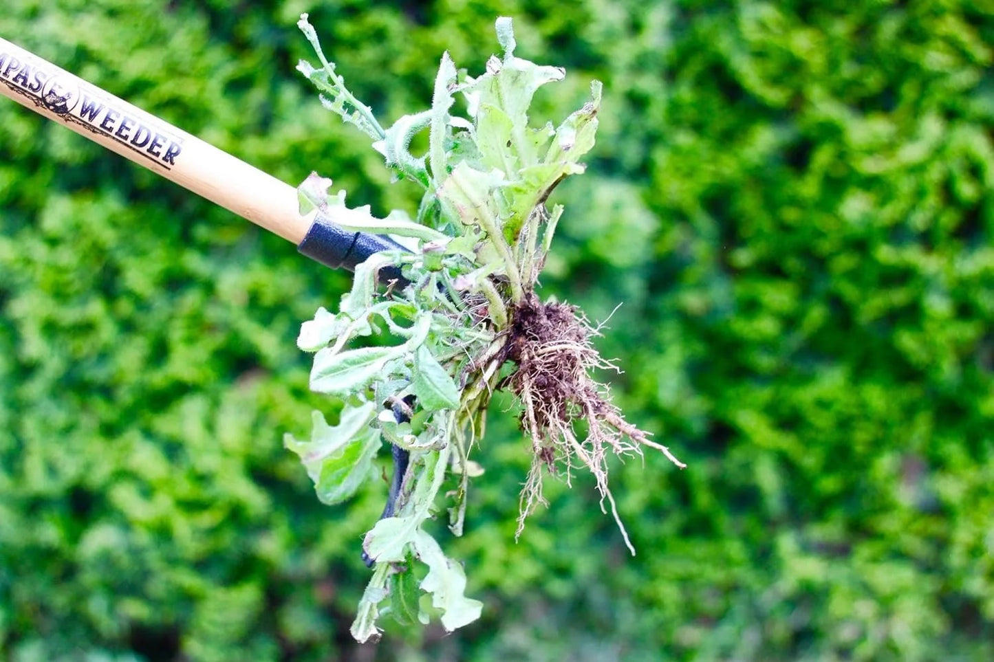 Grampa's Weeder - The Original Stand Up Weed Puller