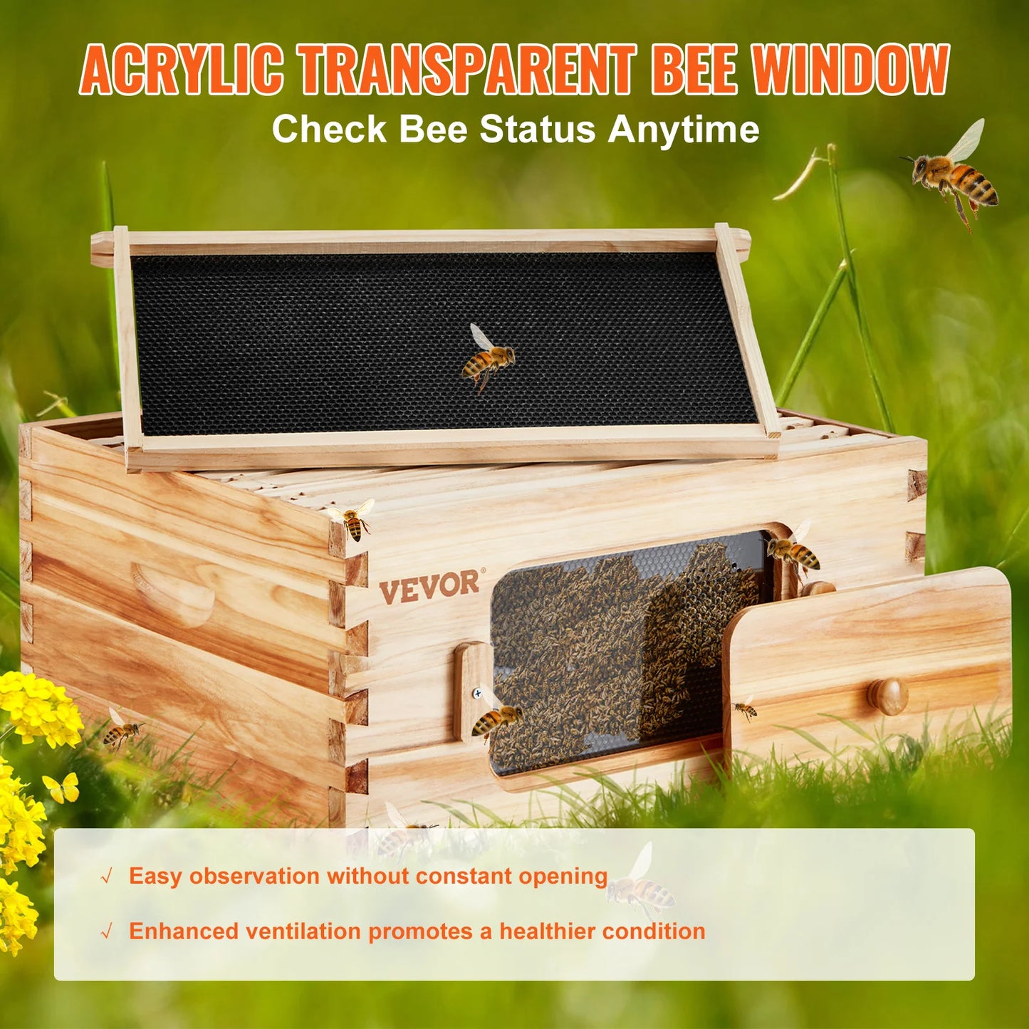 Bee Hive Deep Box Starter Kit with 10 Frames and Foundations