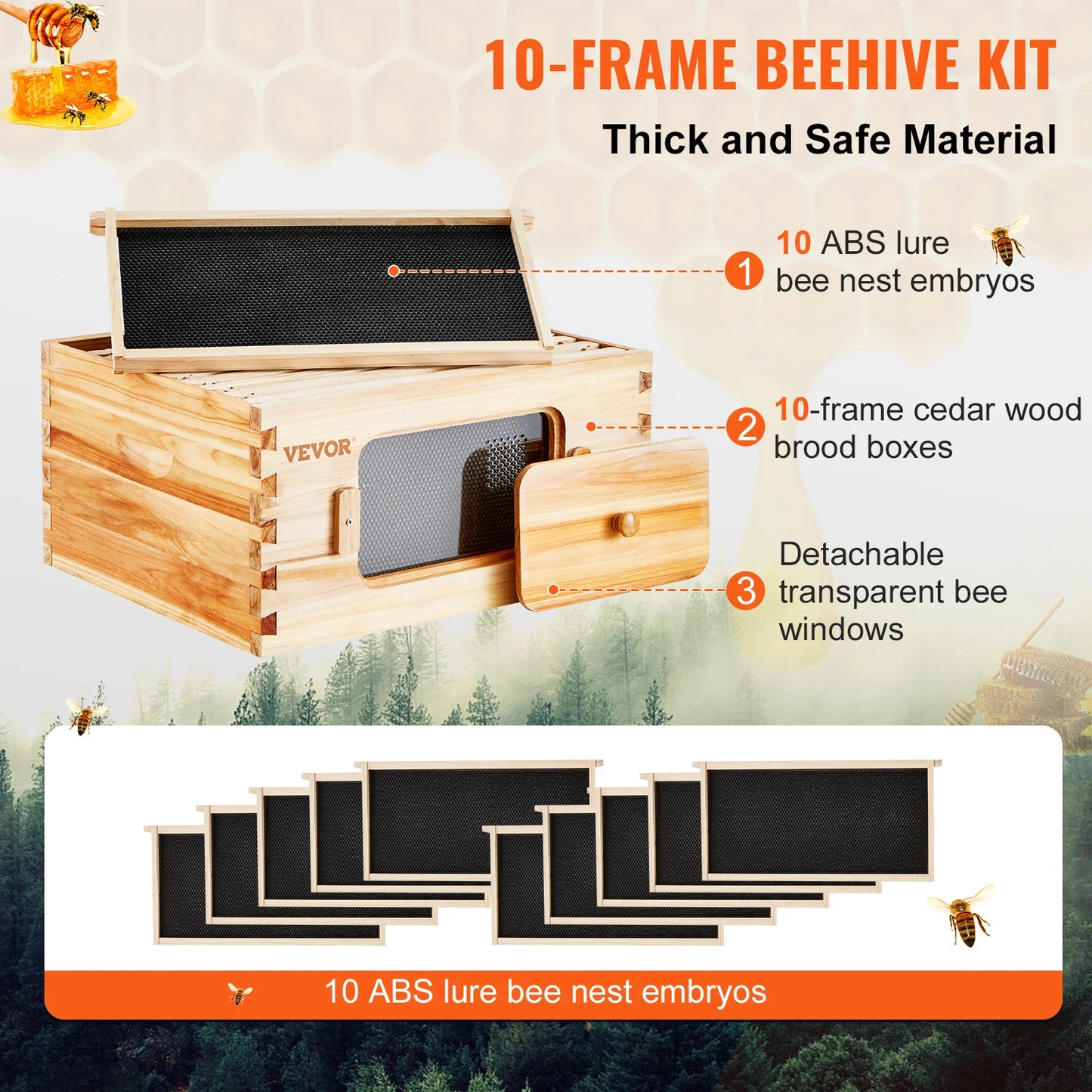 Bee Hive Deep Box Starter Kit with 10 Frames and Foundations