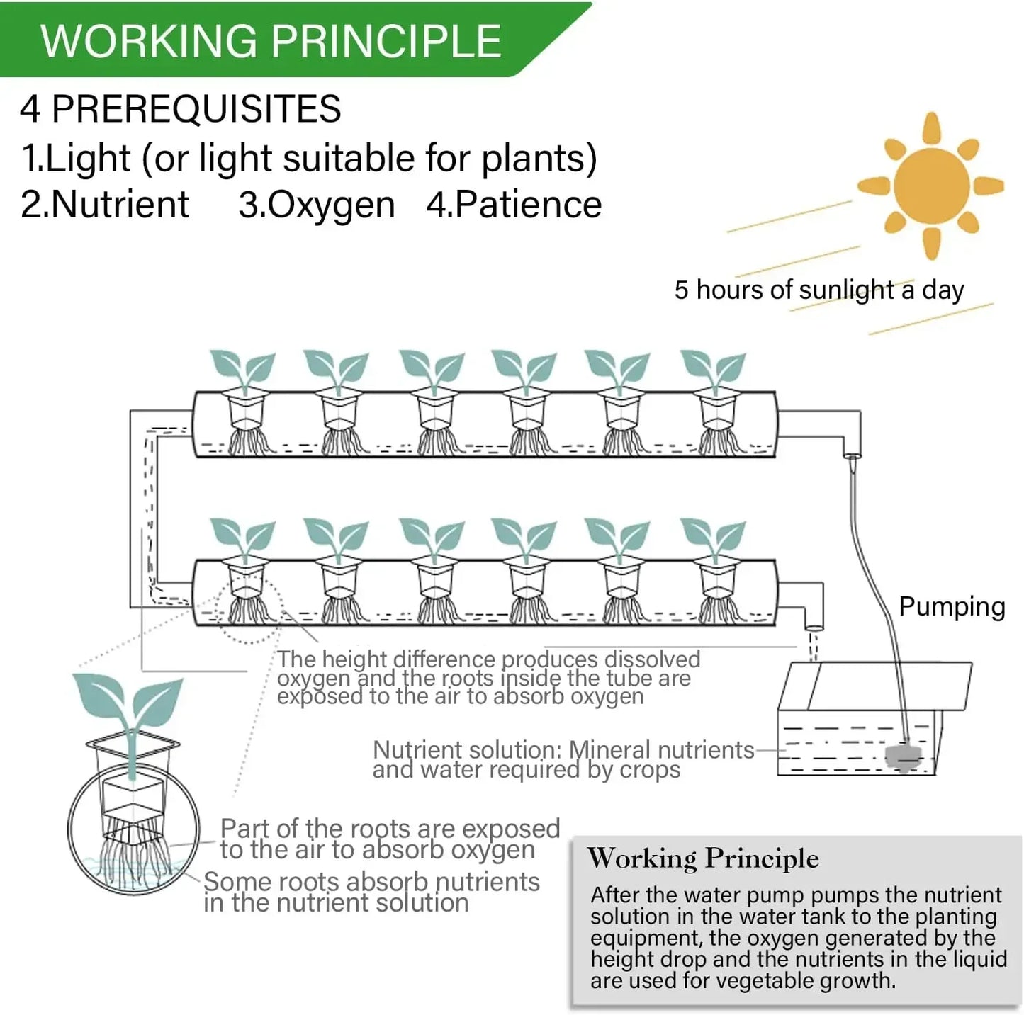 3-Layer/108 Sites Hydroponics System Growing Kits