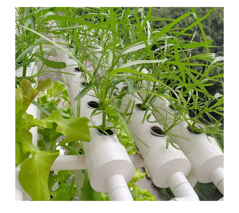 Hydroponic Plants 3-Layer Pipeline Type Automated Cultivation Vertical Equipment