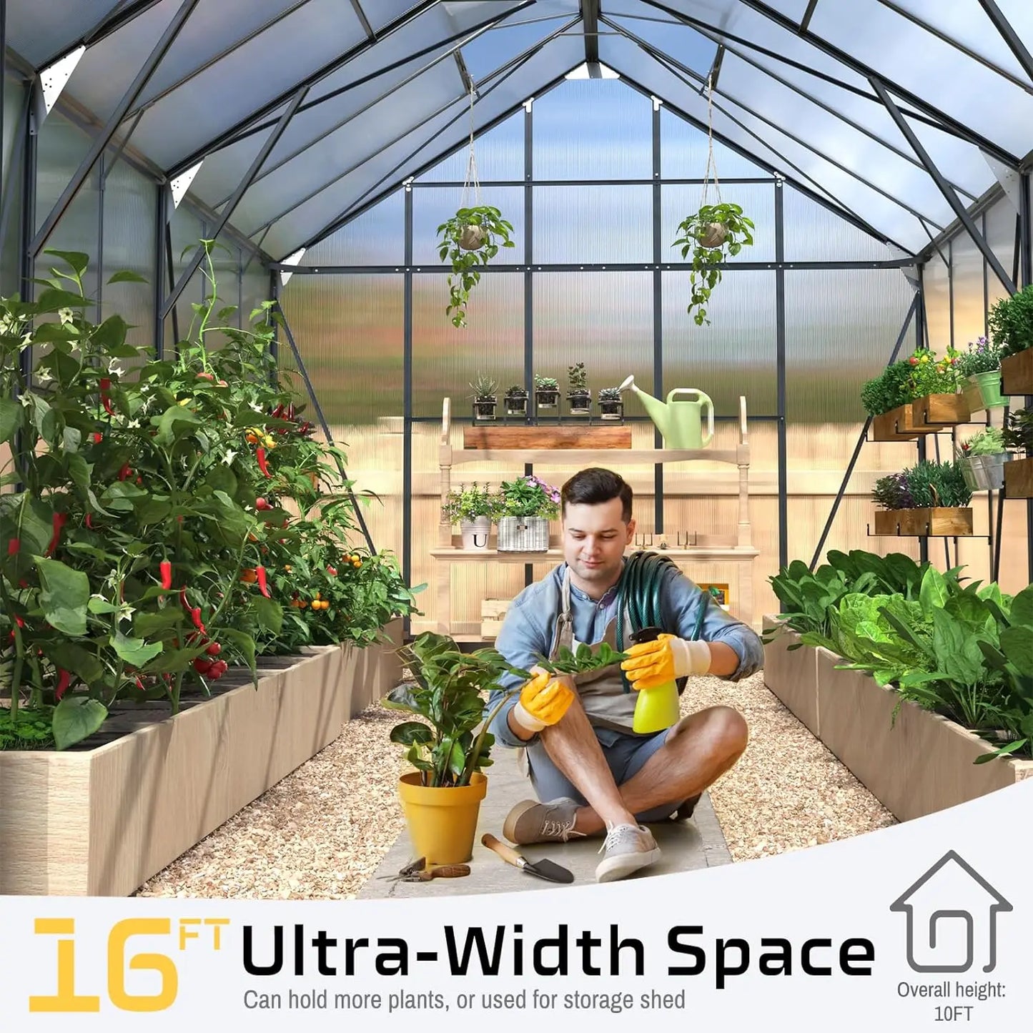 Polycarbonate Greenhouse Walk-in Large Aluminum Greenhouse