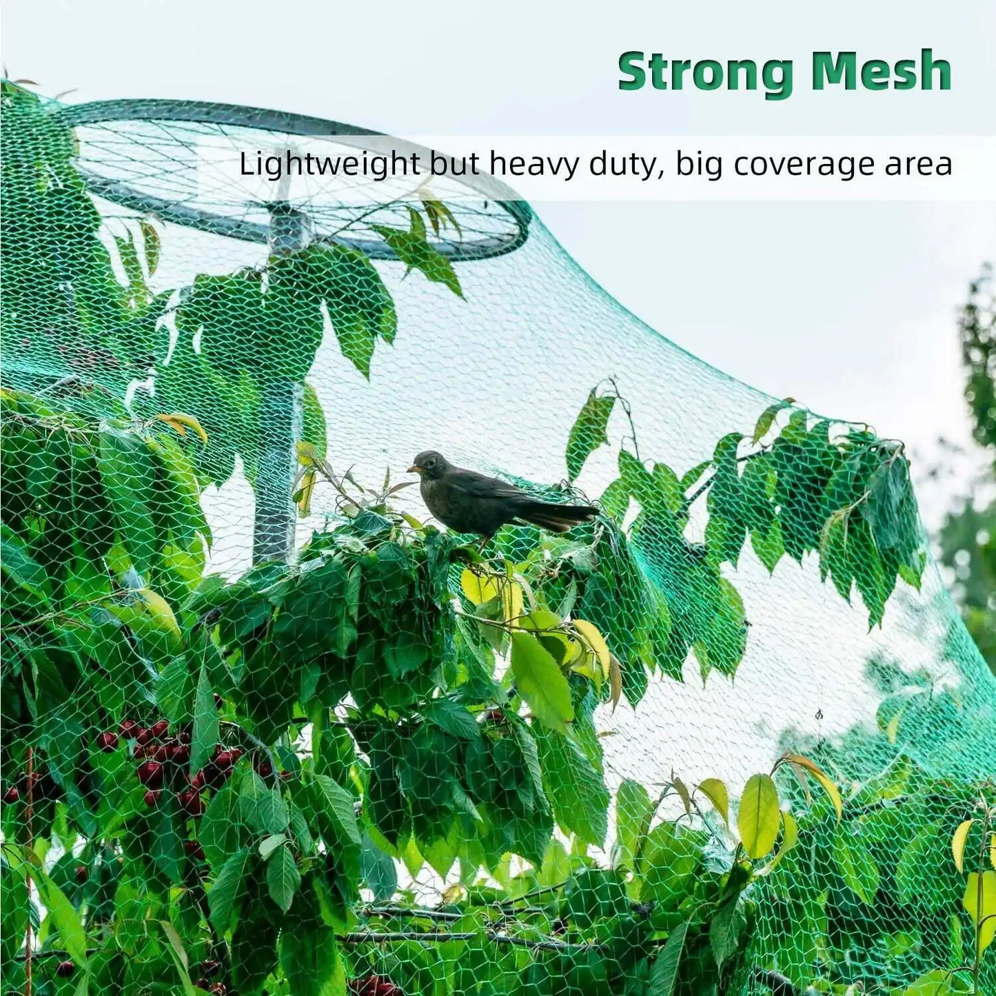 Anti Bird Netting, Large Garden Crop