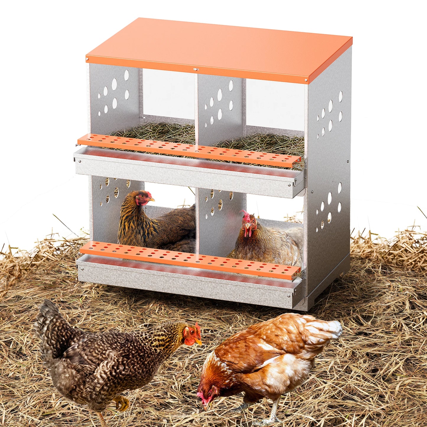 4 Compartment Poultry Nest Box