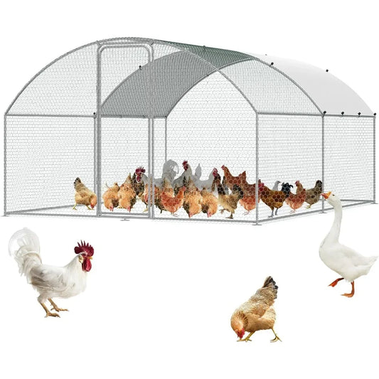 Large Coop With Run Feeder