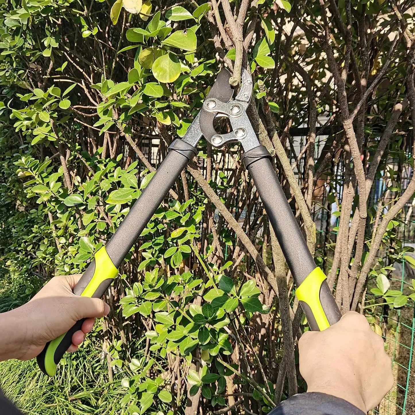 Loppers Hedge Clippers & Shears