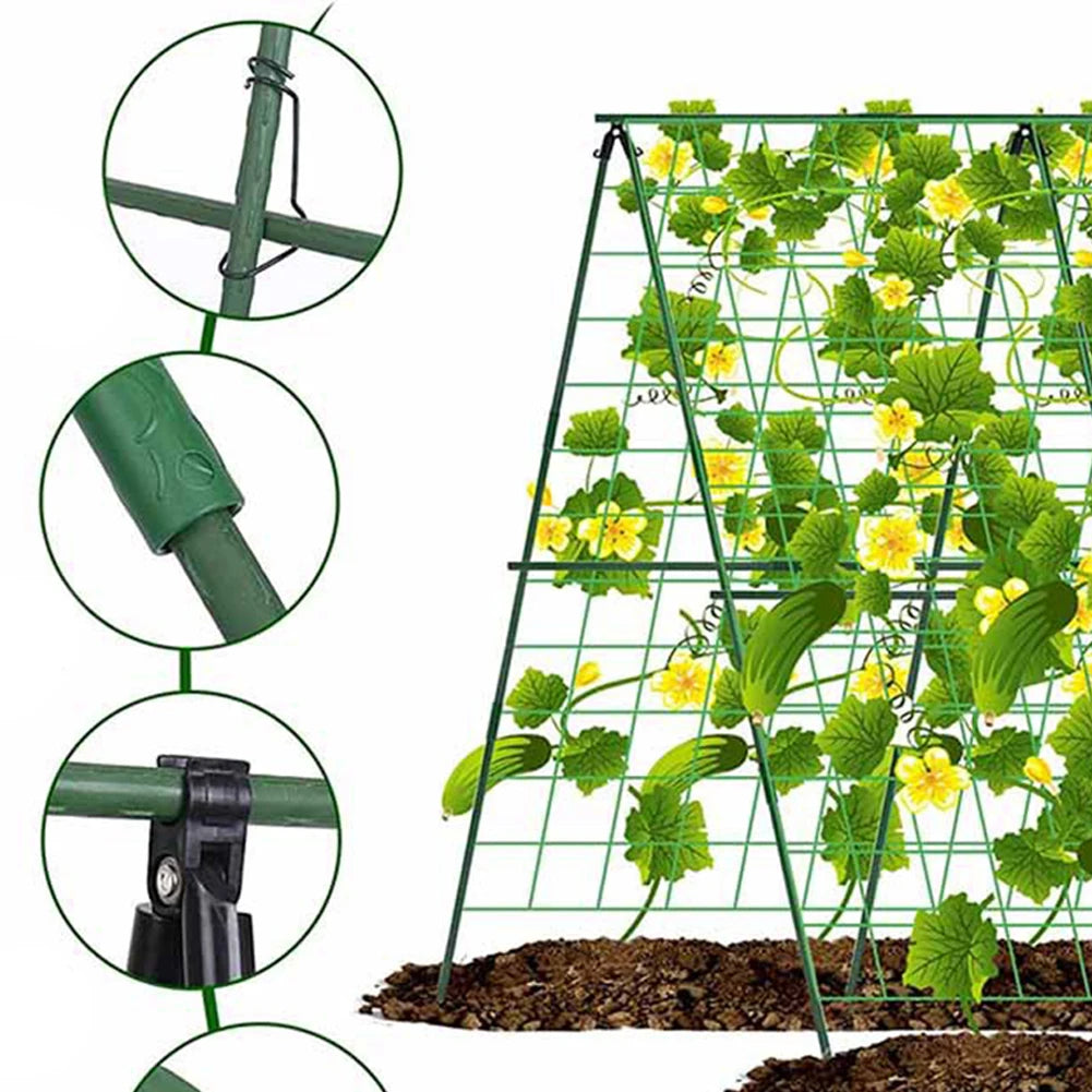 Cucumber Trellis Adjustable Plant Support Cages