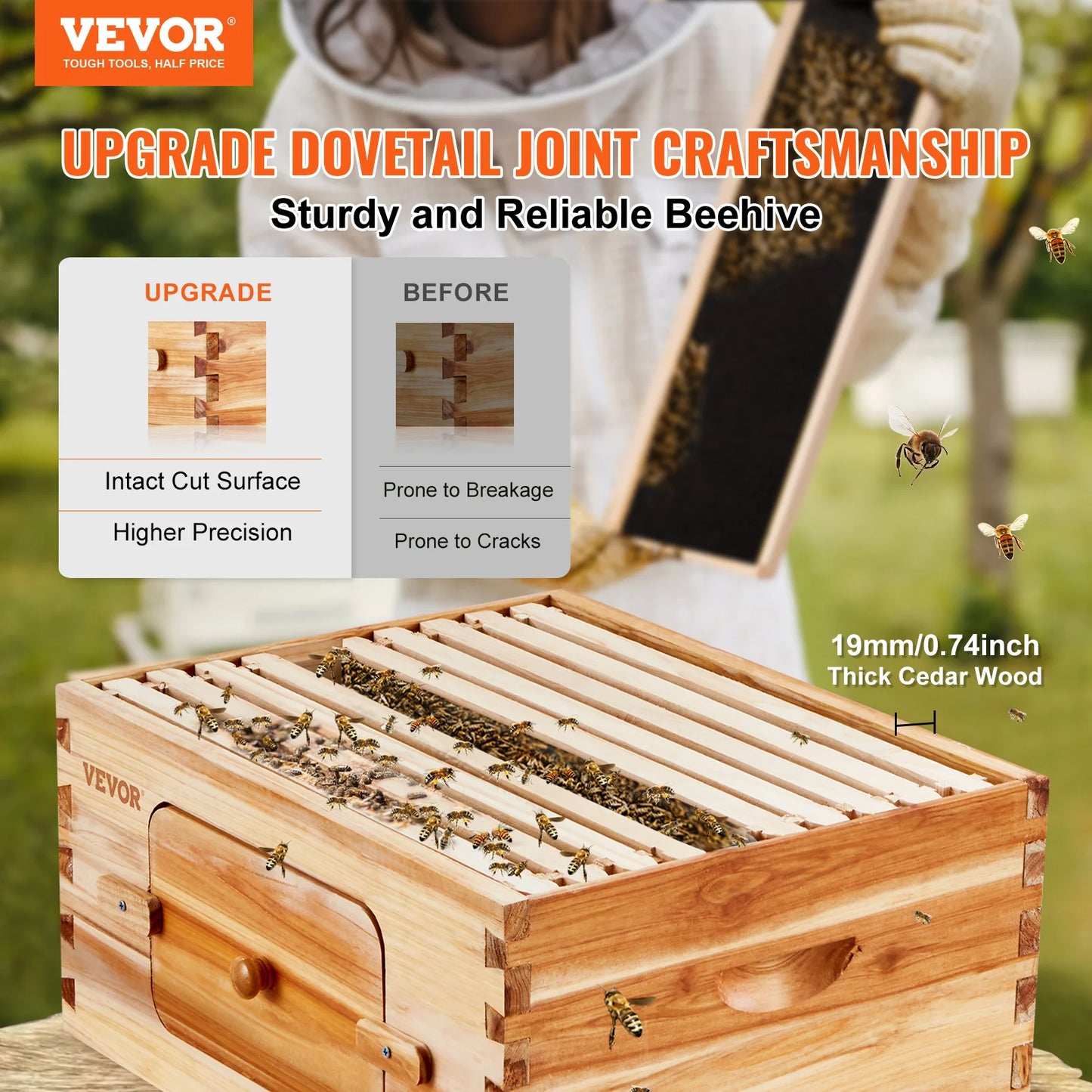 Bee Hive Deep Box Starter Kit with 10 Frames and Foundations