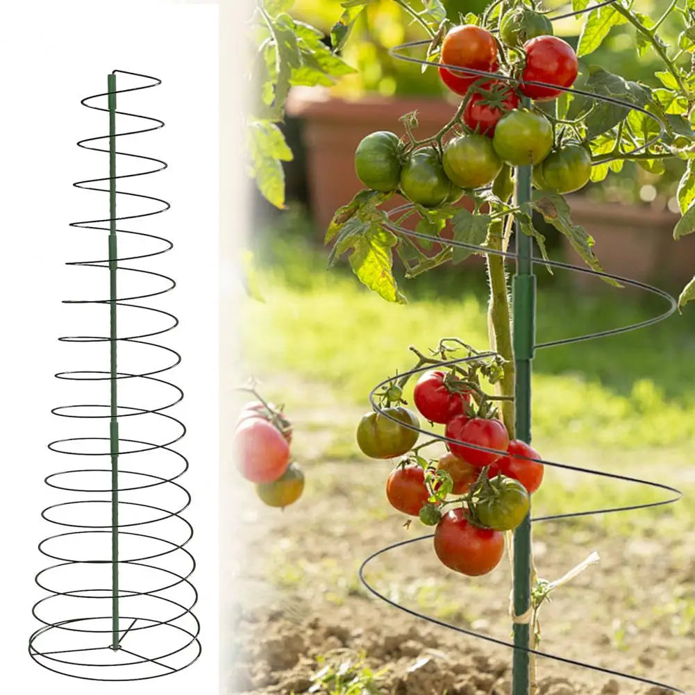 Vegetable Cage Climbing Plant Support