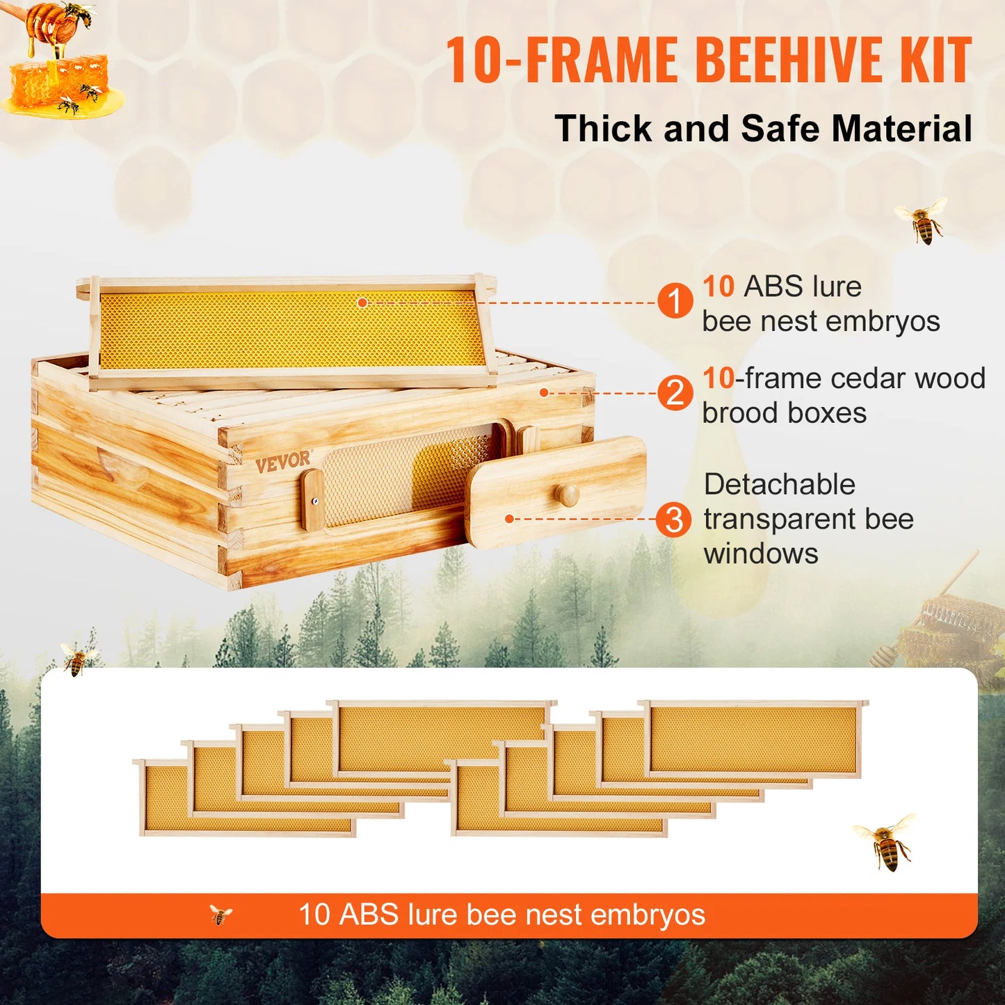 Bee Hive Medium Box Starter Kit