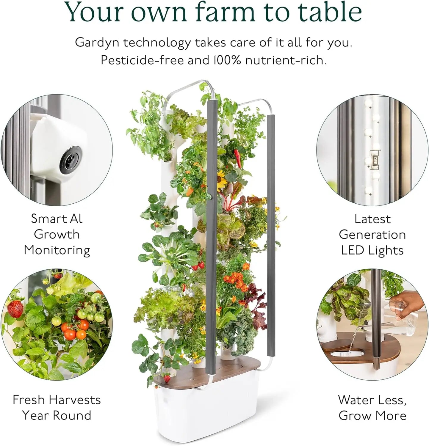 Hydro Growing System & Vertical Garden