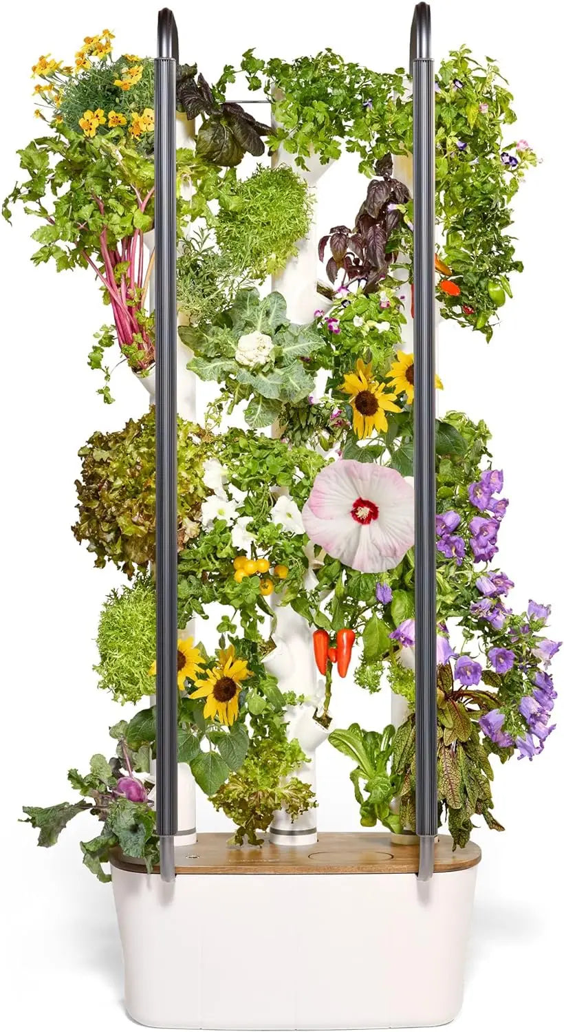 Hydro Growing System & Vertical Garden