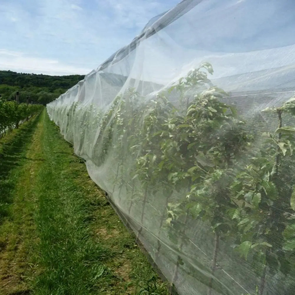 Garden Protection Net