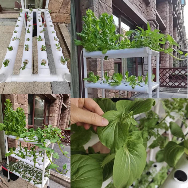 Hydroponic Plants 3-Layer Pipeline Type Automated Cultivation Vertical Equipment