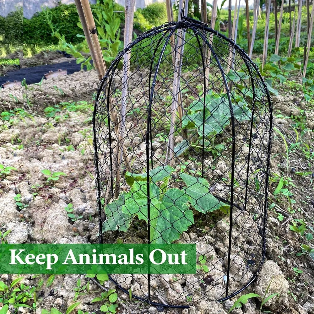 Outdoor Chicken Shredded Plant Cage