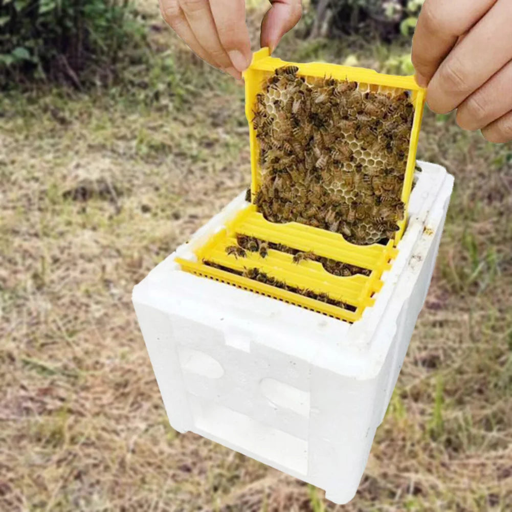 Versatile Queen Bee Breeding Box