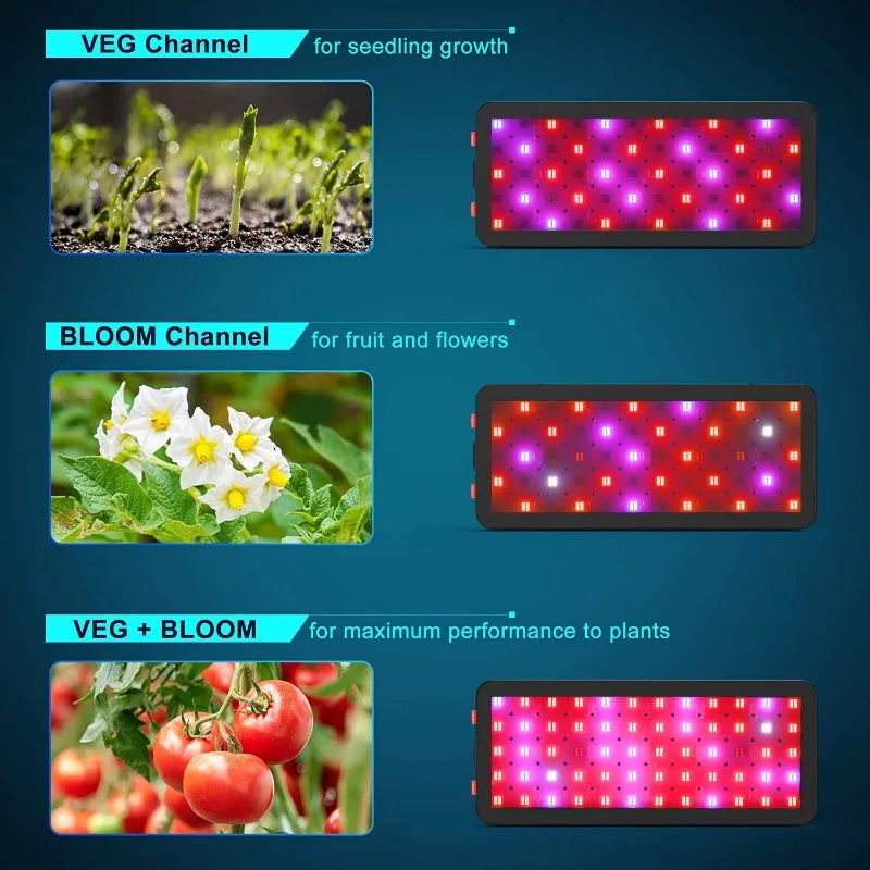 600W LED Plant Grow Light with SMD LEDs