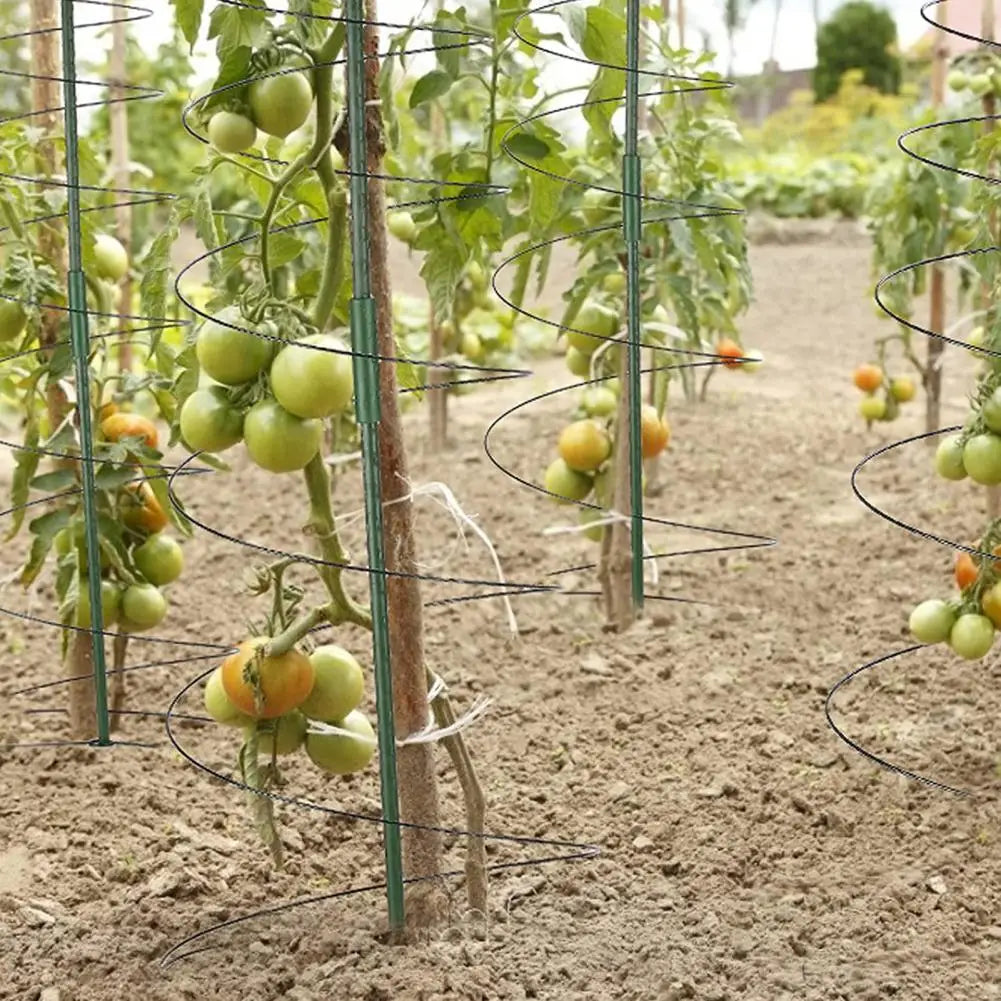 Vegetable Cage Climbing Plant Support