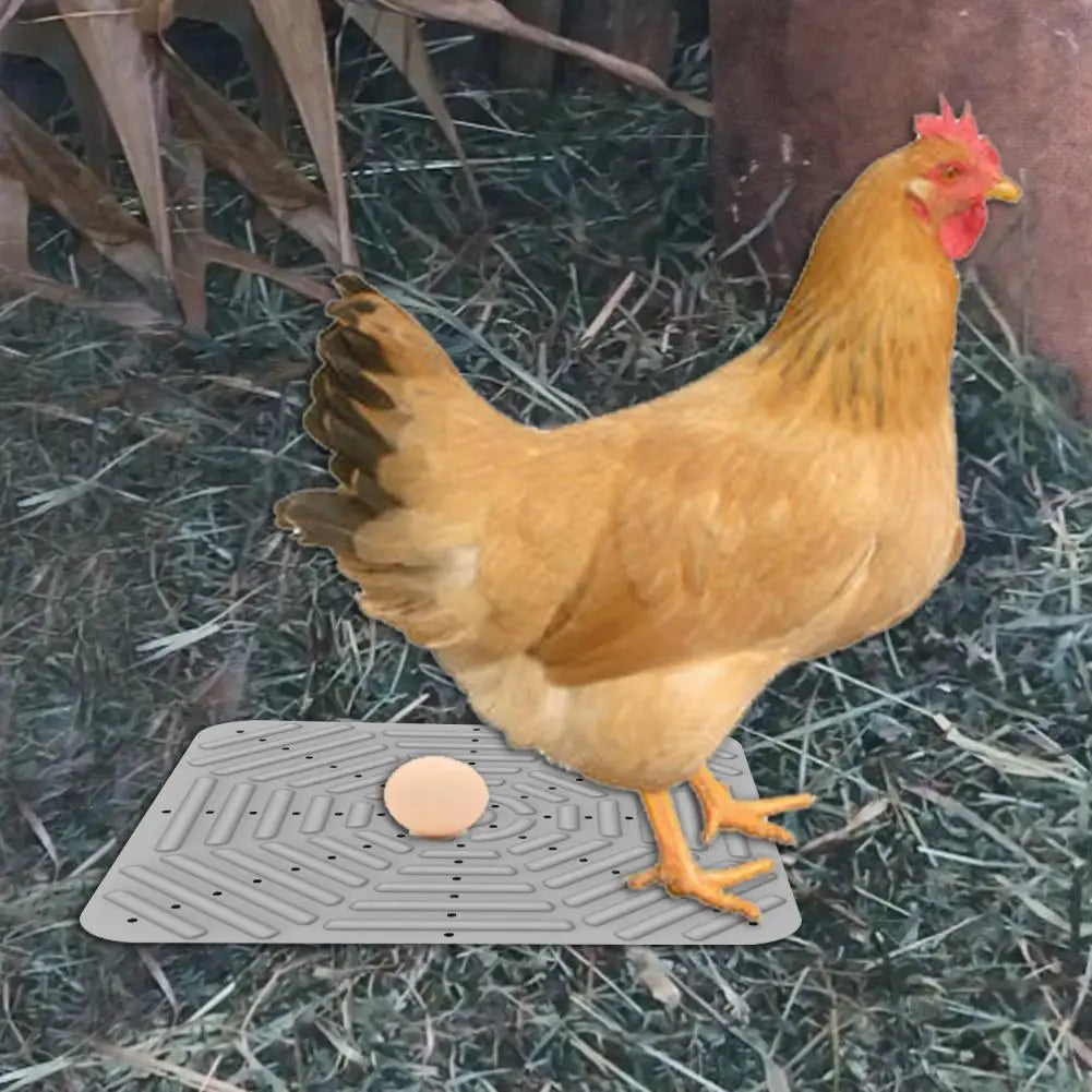 Chicken Liner Silicone Nesting Pad